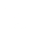 DMC Opera Calcata